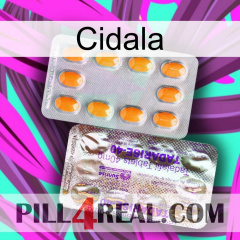 Cidala new12